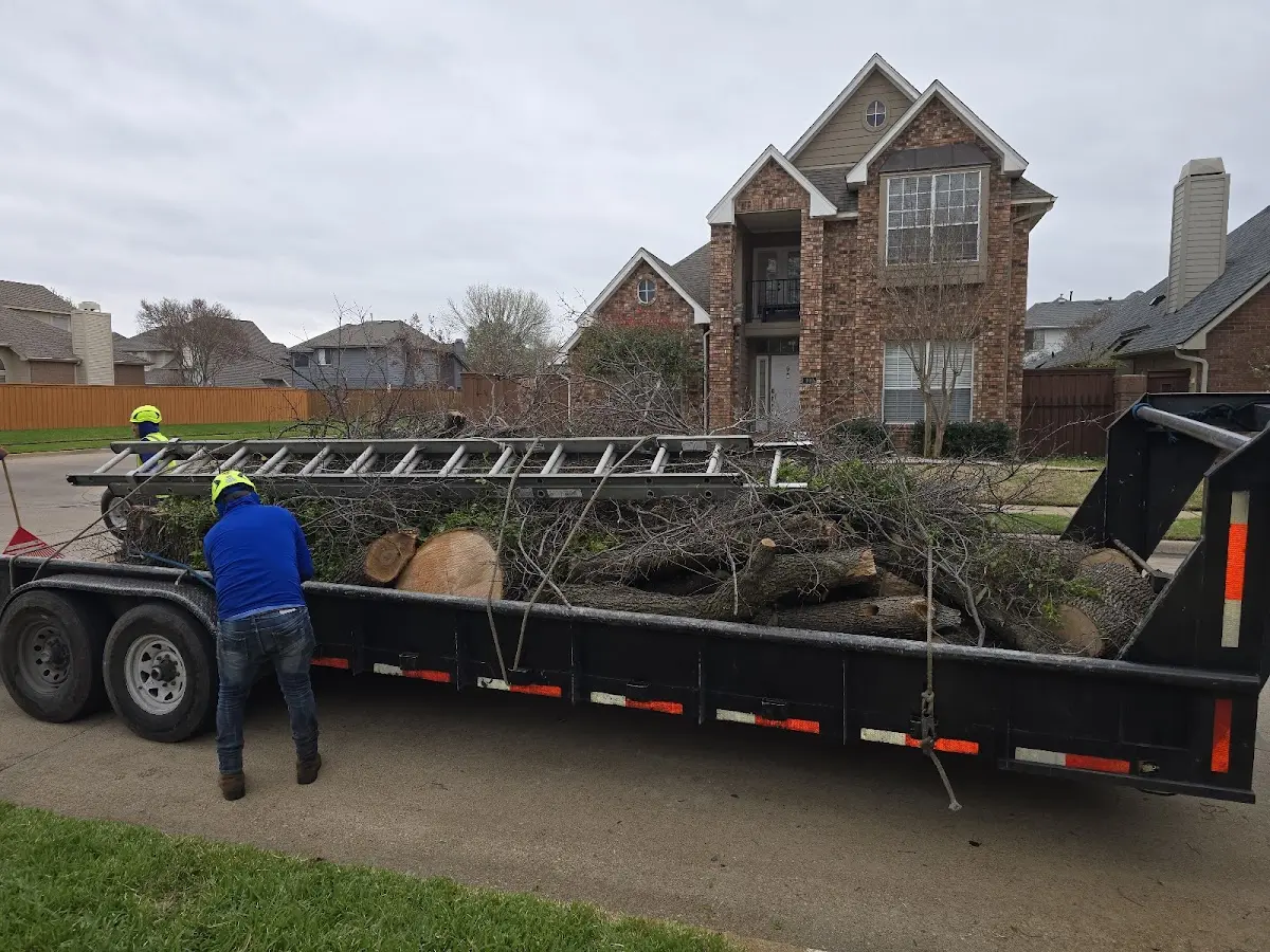 Expert Tree Pest Control with proper safety equipment in Kendleton